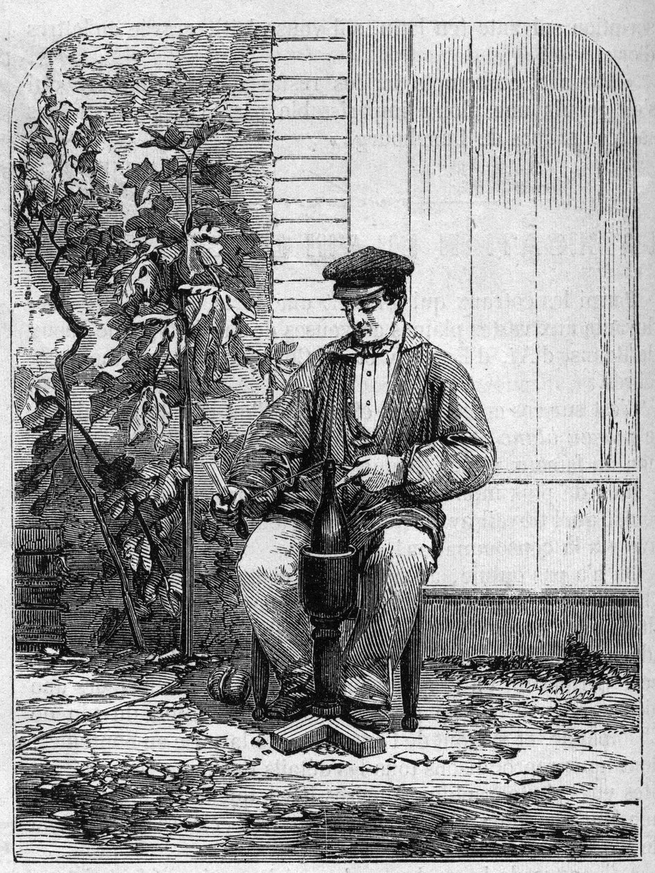 O engarrafamento do vinho Champagne. Gravura a partir de 1864. de Unknown artist