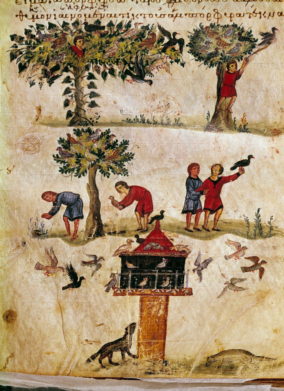 A criação e treino de falcões miniatura da caça "The Cynegetics" de Oppian (Oppian ou Oppianus) da Síria (século III d.C.) dedicada a Caracalla. Veneza do século XI. Biblioteca Marciana de Unknown artist