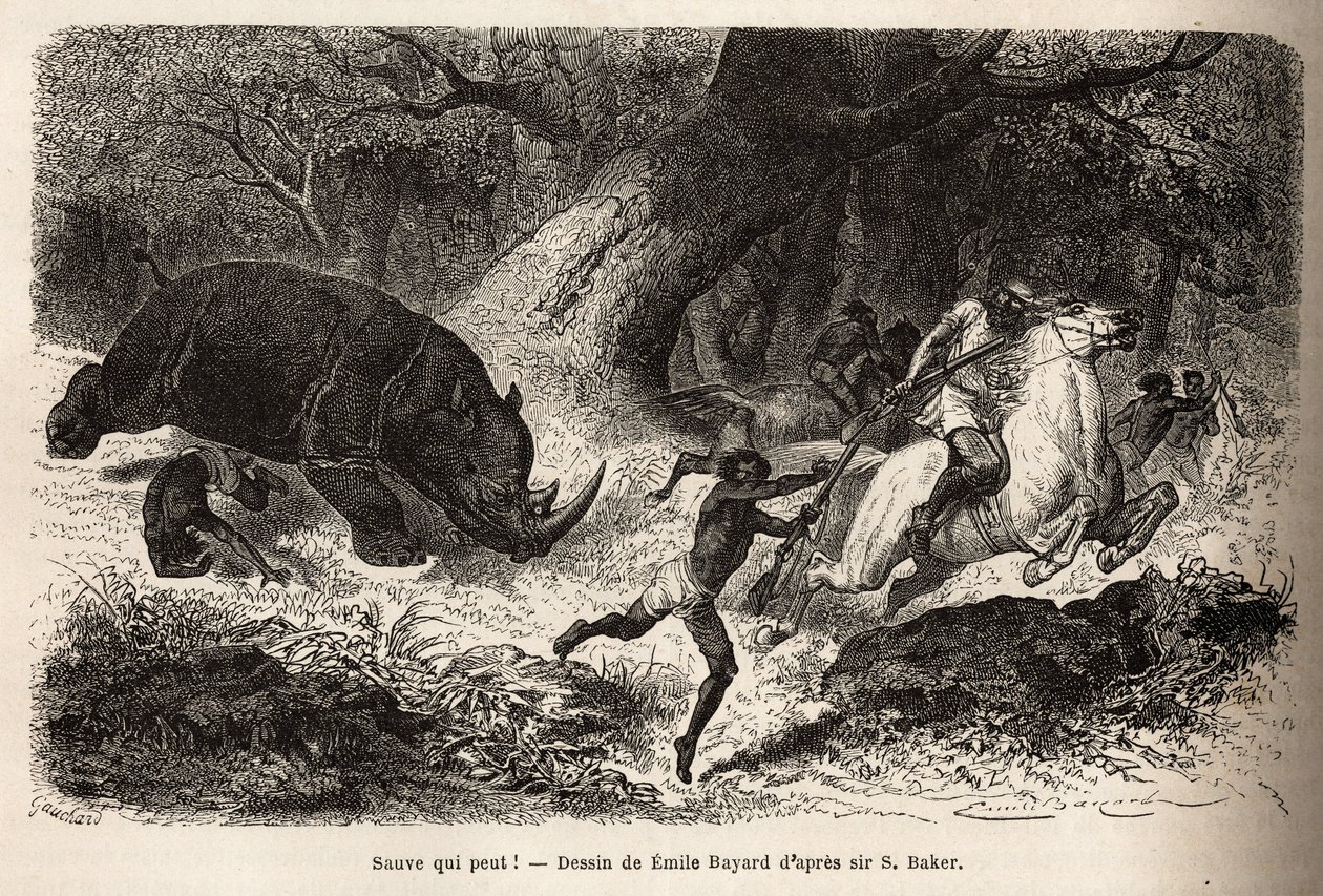 A carga do rinoceronte que derruba e prende os caçadores, durante a busca pelo autor e seus guias. Gravura para ilustrar a exploração dos afluentes abissínios do Nilo, de Sir Samuel W. Baker, em 1861-62, publicada em "Le tou de Unknown artist