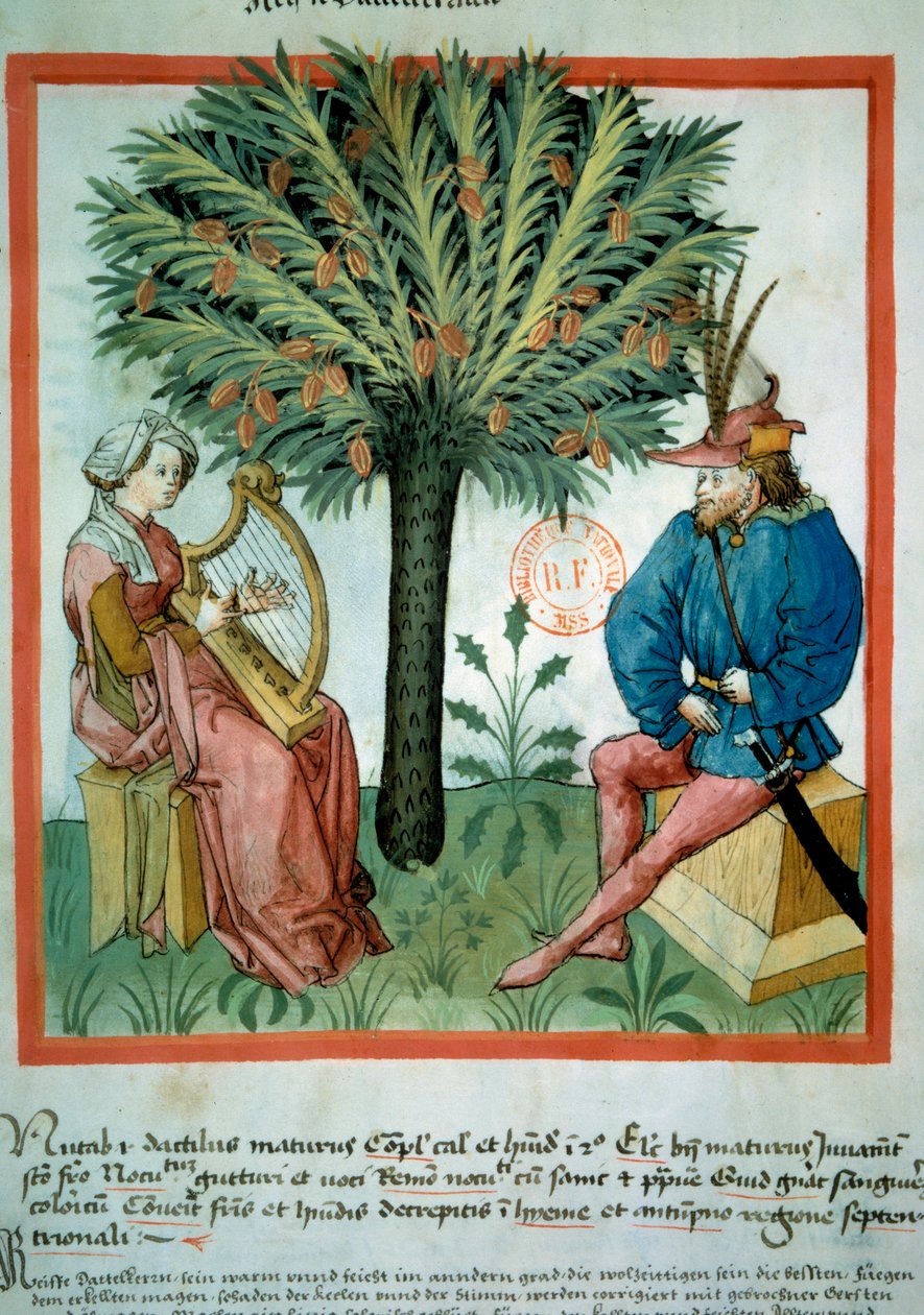 O criador do encontro. Uma mulher toca lira na frente de um homem que ouve música. No fundo, uma palmeira em que as tâmaras crescem. Iluminação do ofício de medicina e dietética (ms. lat. 9333) "Tacuinum sanitatis" após o ofício de medicina "Kitab de Unknown artist