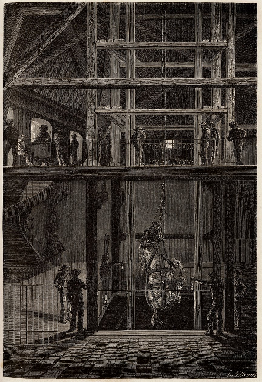 A descida de um cavalo nas minas de Creusot, utilizado em túneis subterrâneos para o transporte de carretas de carvão. Gravura para ilustrar uma viagem ao Creusot e às minas de Saone e Loire, em 1865, por L. Simonin, em "Le tour du monde, nouveau journal d de Unknown artist