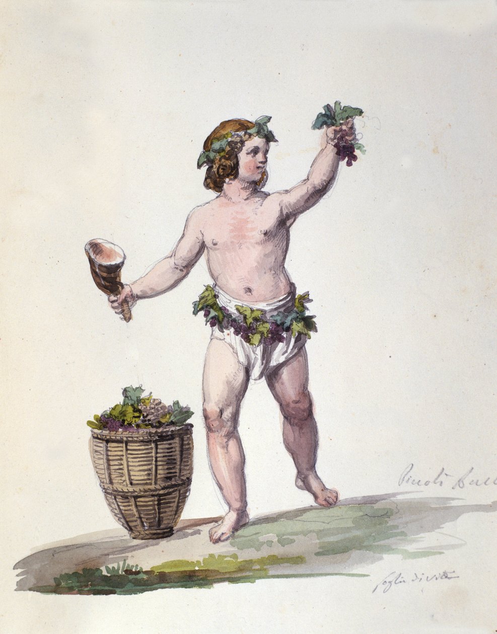 A Gravura Divinita de Baco de "Dizionario mitologico de Unknown artist