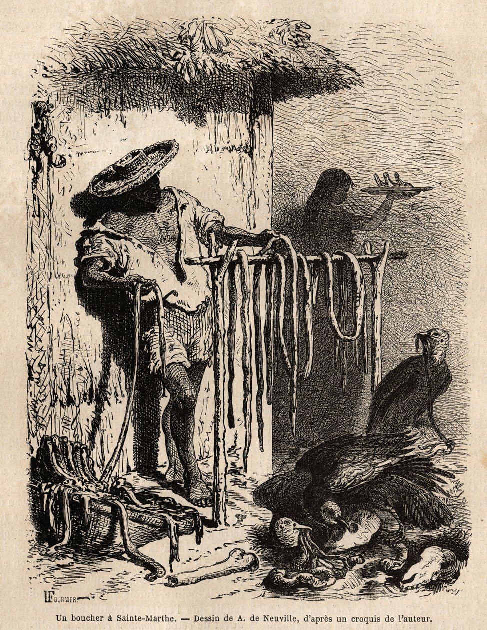 O etal de um açougueiro nos subúrbios de Sainte Martha (Santa Marta, Colômbia), os bois sangram e a pele é cuidadosamente estendida, a carne é cortada em tiras e posta a sal e seca, o resto, inconsuflável, é jogado no chão e atrai o vultur de Unknown artist