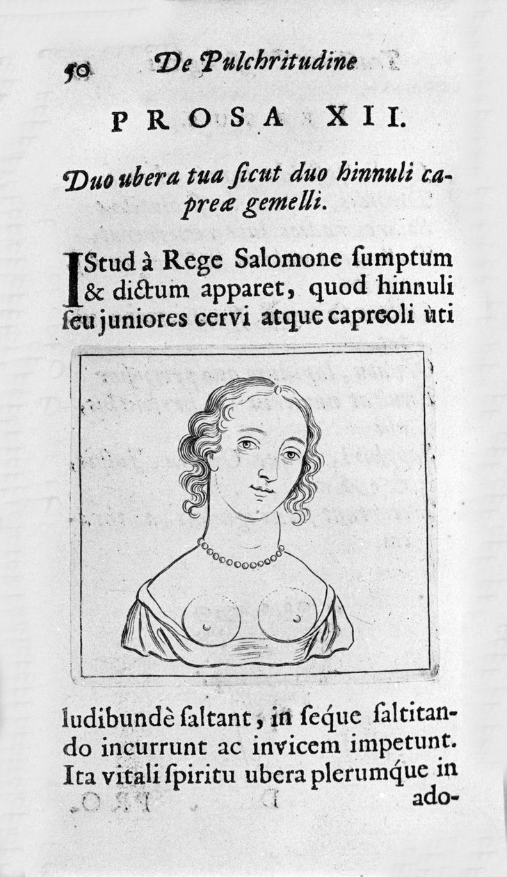 O peito feminino. Página retirada de "Tractatus physiologicus de pulchritudine" trata com Ernesto Venio (Ernestus Vaenius) defendendo a beleza da criação contra um adversário anônimo. 1612 de Unknown artist