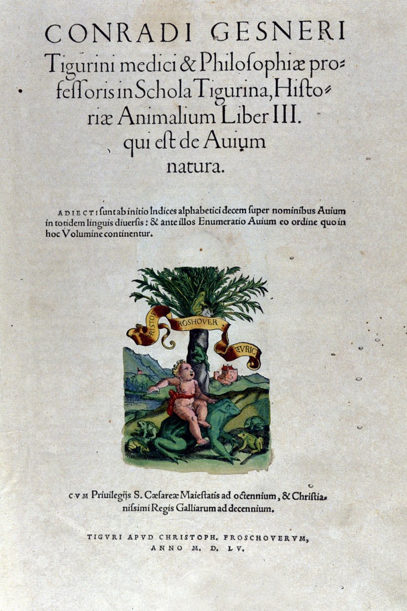 O frontispício do terceiro volume por Historia Animalium de Conrad Gesner (1516 - 1565), Tiguri de Unknown artist