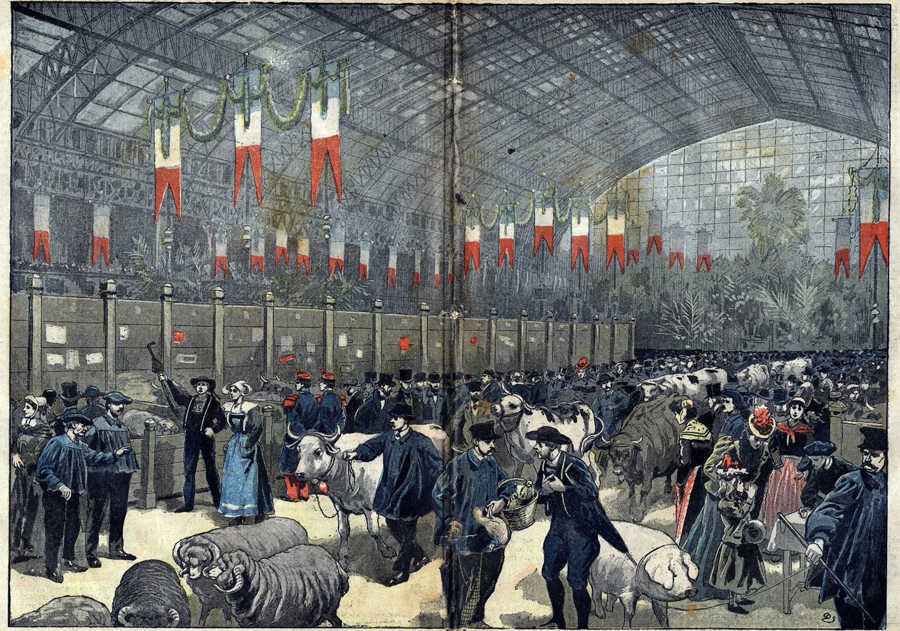 O concurso geral agrícola de Paris - 14 de Março de Unknown artist