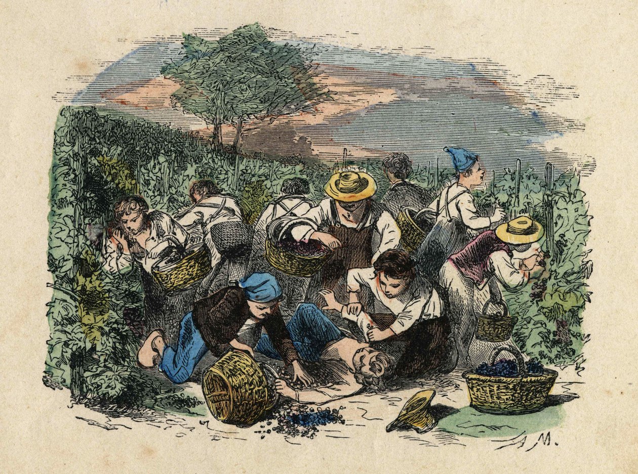 A colheita. A ilustração do século XIX. Coleção Bianchetti de Unknown artist