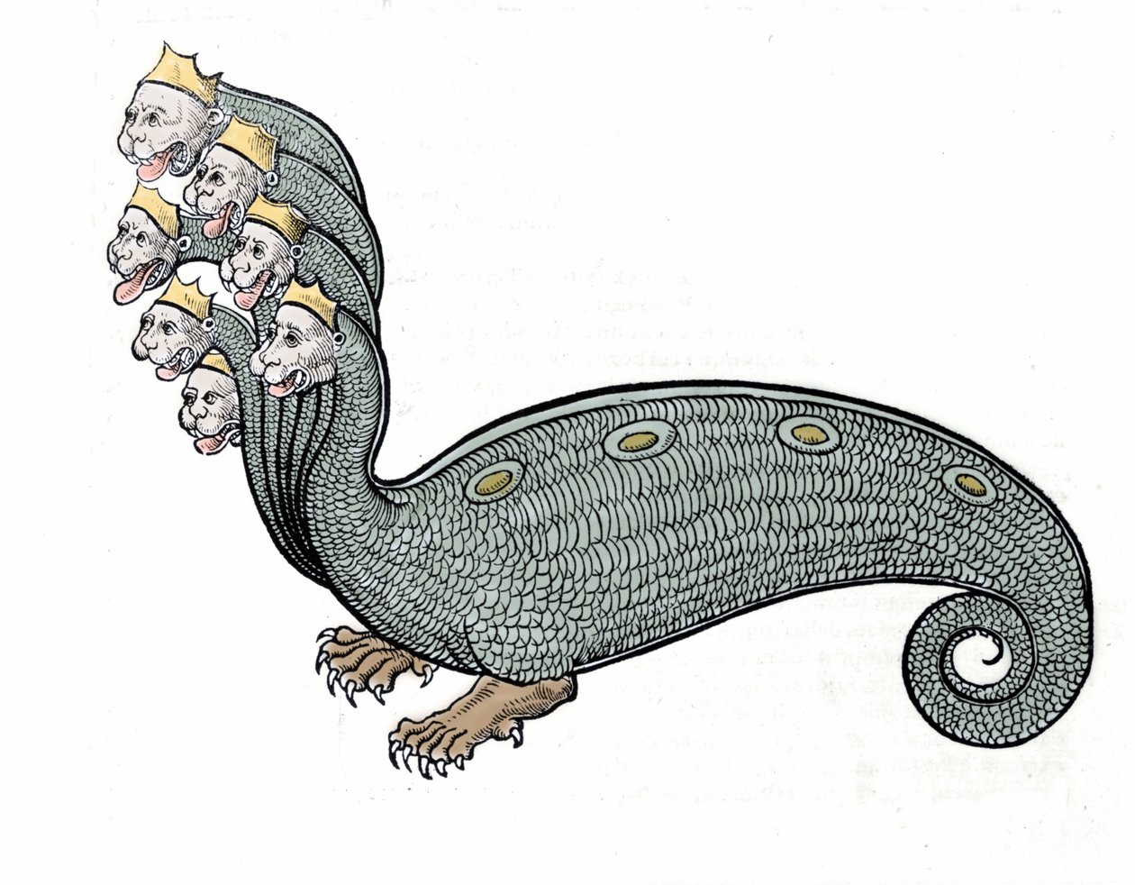 A hidra com as sete cabeças é uma cobra de água com o corpo de um cão. de Unknown artist