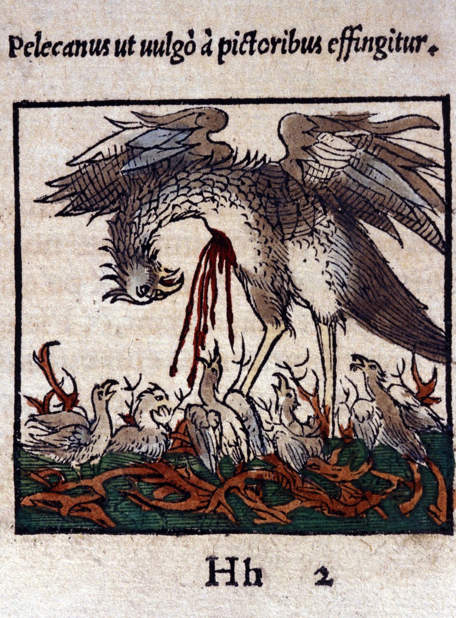 A lenda do pelicano: ele dá o seu sangue e intestinos para alimentar as suas crias. De Historiae animalium, de Konrad Gesner, Tiguri. de Unknown artist