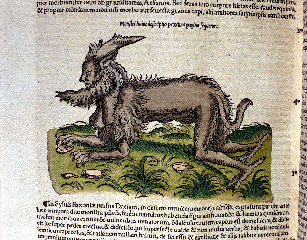 O manticore do Historia Animalium de Conrad Gesner, Tiguri 1560. Biblioteca nazionale Braidense. Milão de Unknown artist