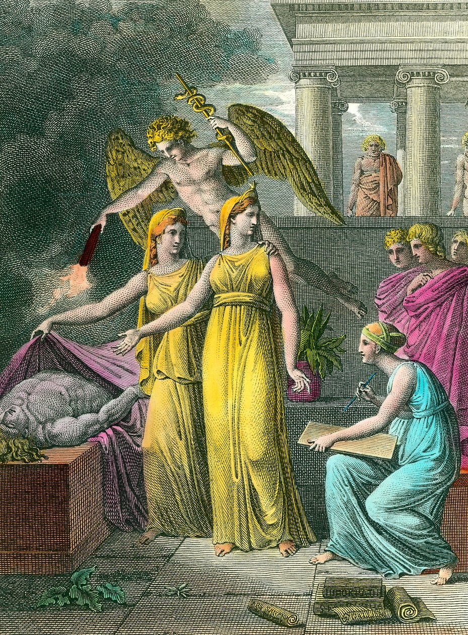 O medicamento liderado pelo estudo tem novas observações anatômicas sob os olhos da pintura Gravura do século 19 particular Coleção de Unknown artist