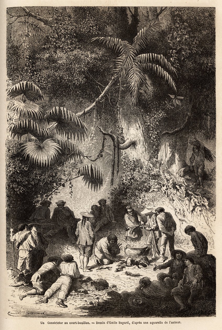 A preparação de uma refeição na floresta primitiva do vale do Caravaya (Cordilheira dos Andes), uma jibóia com caldo curto. Engravure pour illustrrer le voyage dans les vallees de Quinquinas (Peru), de Paul Marcoy, em 1849-1861, publicado em "Le tou de Unknown artist