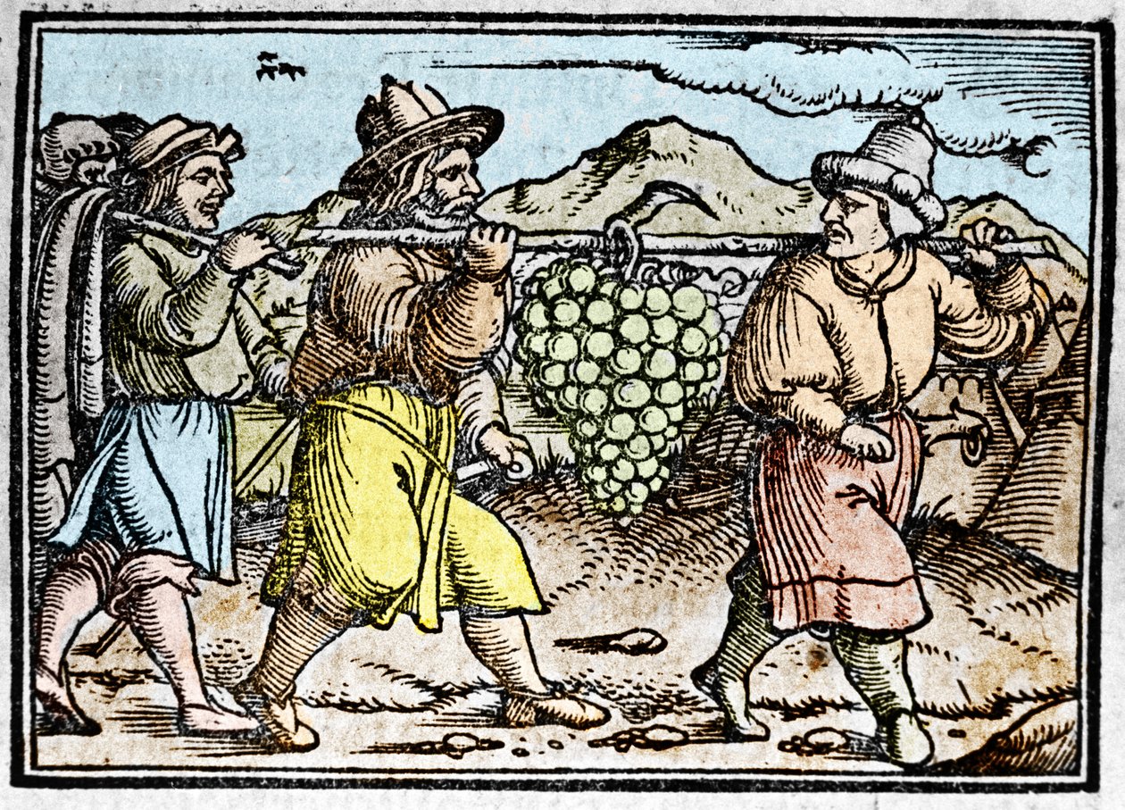 O regresso de Josué e Calebe com um enorme cacho de uvas da terra de Canaã (Terra Prometida). Crónica de Johann Stumpff "Den edlen strucen besten fromen". de Unknown artist