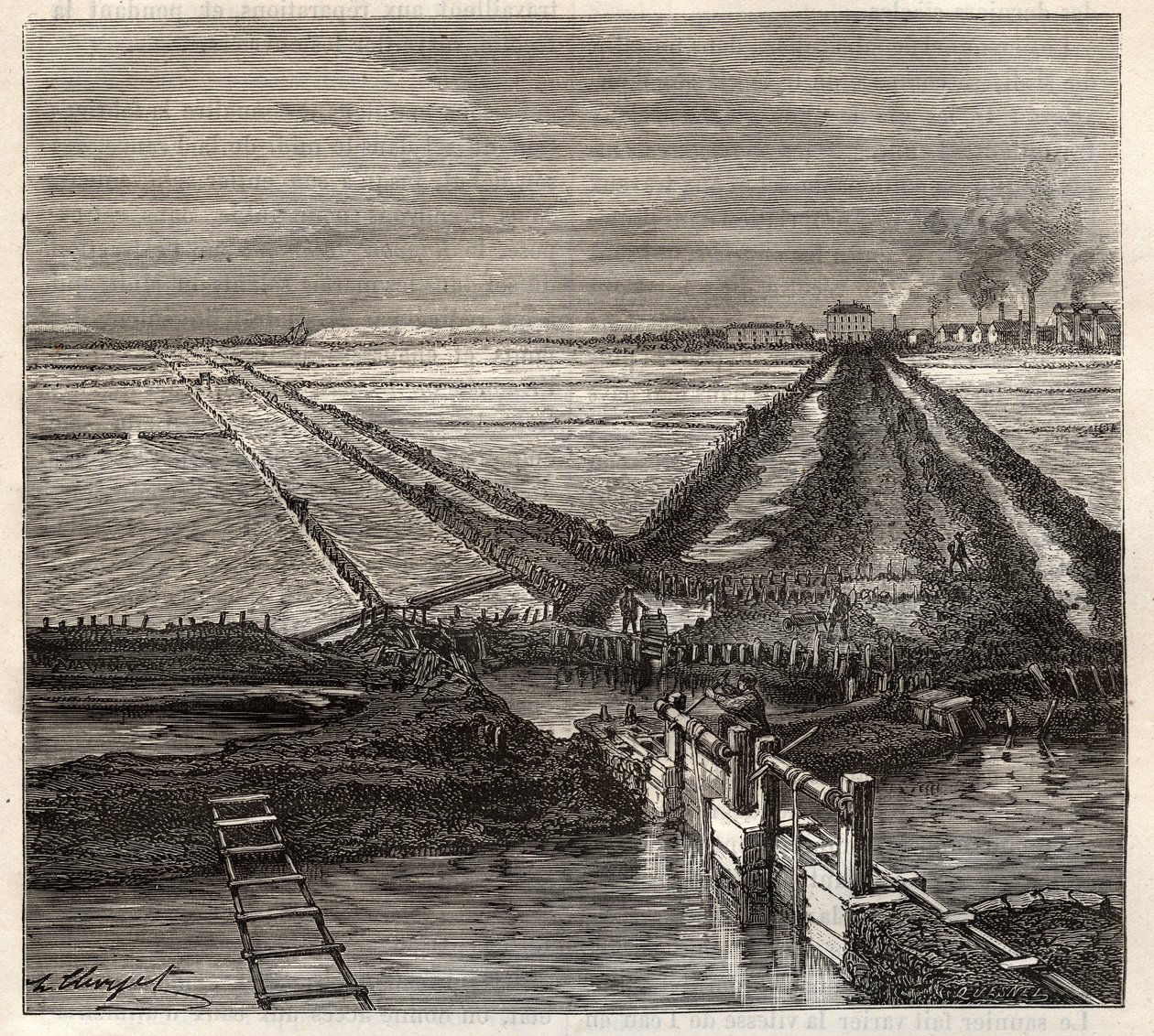 O pântano salgado de Giraud no Camargue (Bouches-du-Rhone), vista do canal de serviço - gravura em 