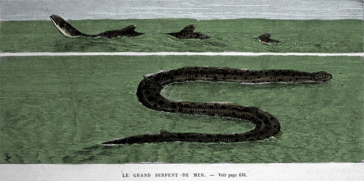A serpente marinha observada em 1872 no Atlântico Meridional. de Unknown artist