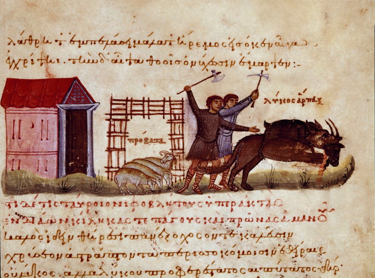 Os pastores procuram defender a besta do ataque dos lobos miniatura do comércio de caça "The Cynegetics" de Oppian (Oppian ou Oppianus) da Síria (século III d.C.) dedicado a Caracalla. Veneza do século XI. Biblioteca Marciana de Unknown artist
