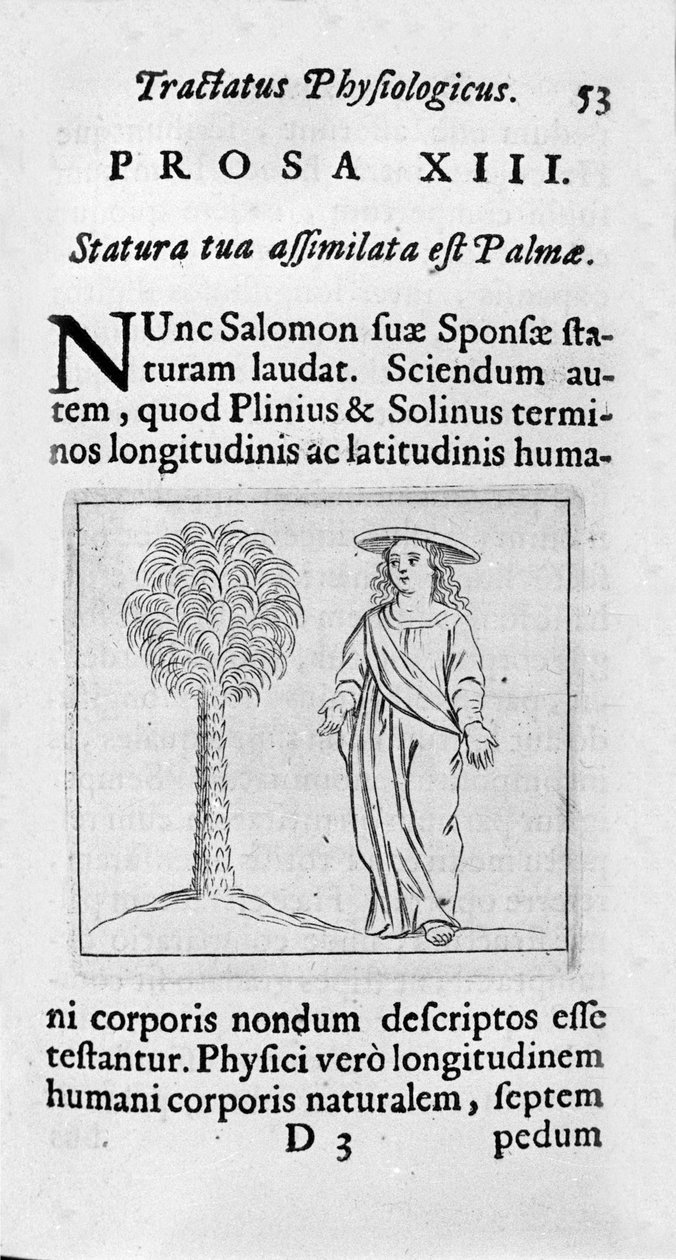 O tamanho da mulher. Página retirada de "Tractatus physiologicus de pulchritudine" trata com Ernesto Venio (Ernestus Vaenius) defendendo a beleza da criação contra um adversário anônimo. 1612 de Unknown artist