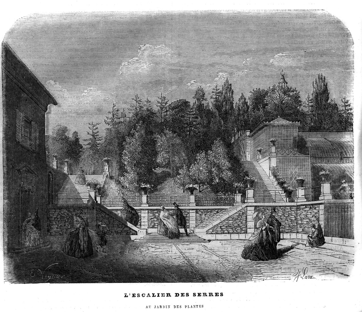 A escadaria das estufas no jardim das plantas em Paris em 1858. de Unknown artist