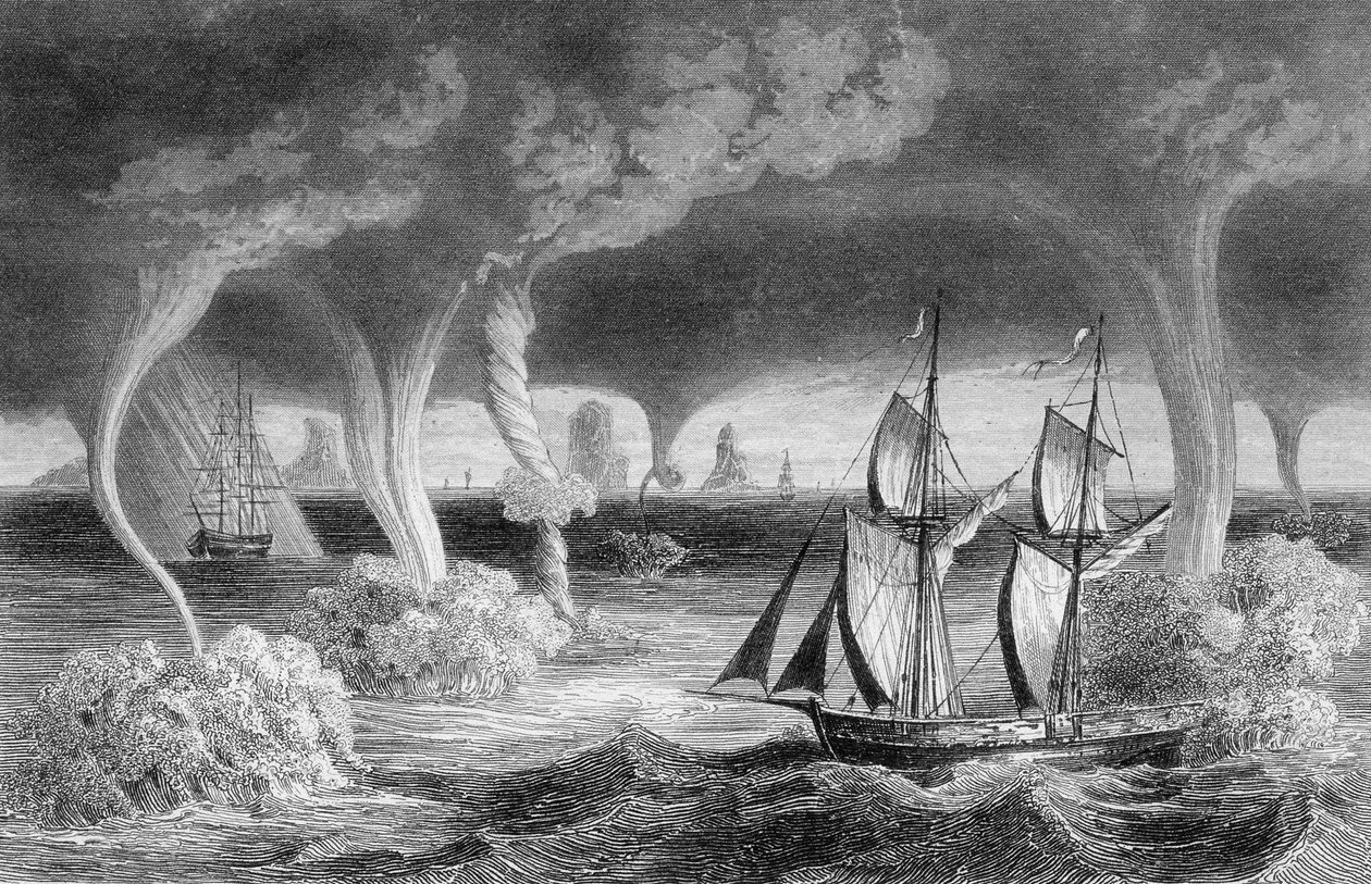 Os troncos... sobem do mar para o céu, e produzem efeitos terríveis. de Unknown artist