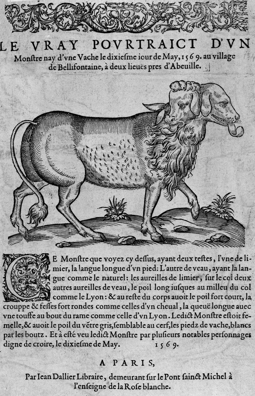O raio seria de um monstro e não de uma vaca, o dixiesme iour de Maio. de Unknown artist