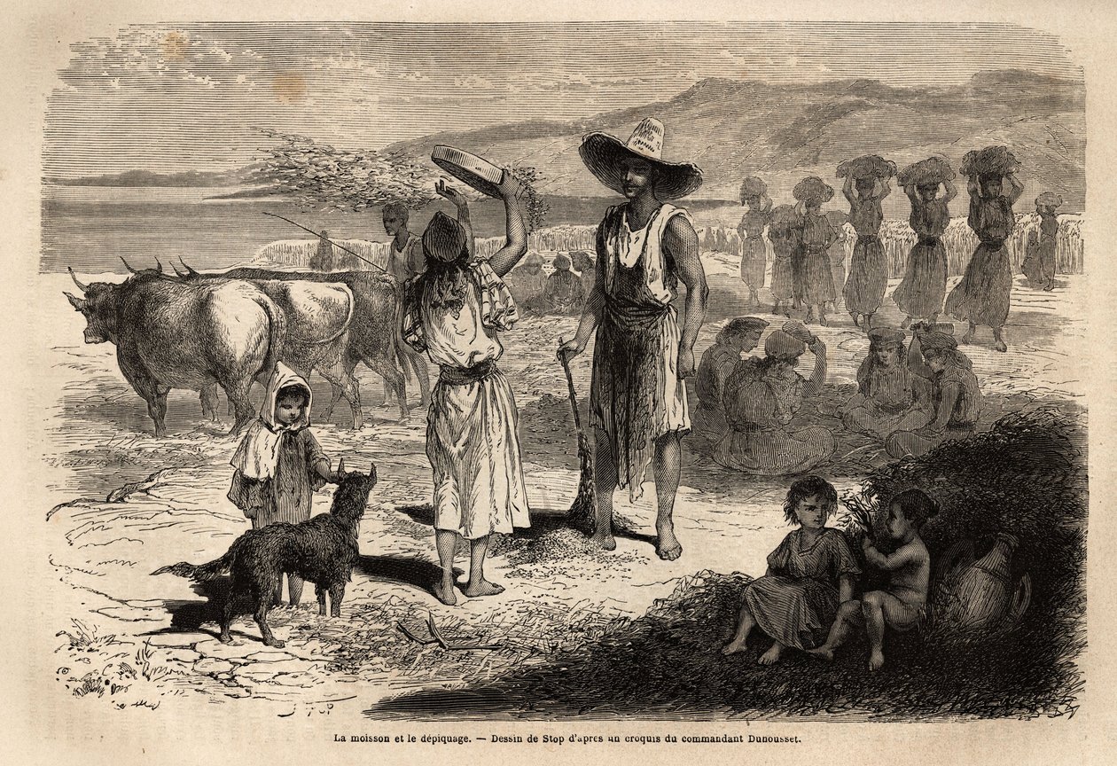 O trabalho de colheita, colheita e representação do trigo, em Djurjura (Argélia); mulheres sentadas em círculos batem no episódio com maços redondos, outras jogam a palha e os grãos ao vento com uma grande peneira, depois varrem o solo e permitem que o grã de Unknown artist