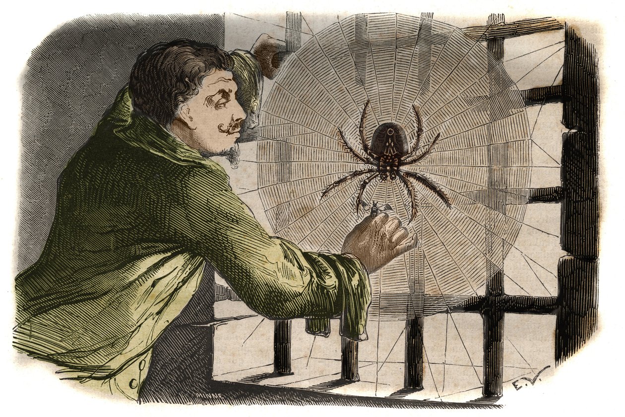 O escritor Paul Pellisson (Paul Pellisson-Fontanier dit) (Pellisson Fontanier) (1624-1693) doma um araignee durante a sua prisão na Bastilha. Gravura de 1858 em "Le Musee Des Sciences" (Le Musee Des Sciences) de Unknown artist