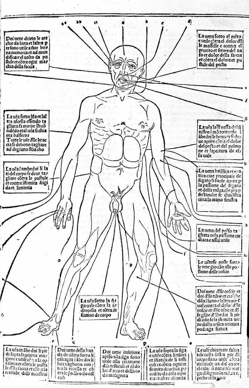 Este quadro mostra os lugares do corpo ou pratica hemorragia dependendo da dor. Tratado de Medicina de Gerolamo Cardano (Cardanus Hieronymus), Florença de Unknown artist
