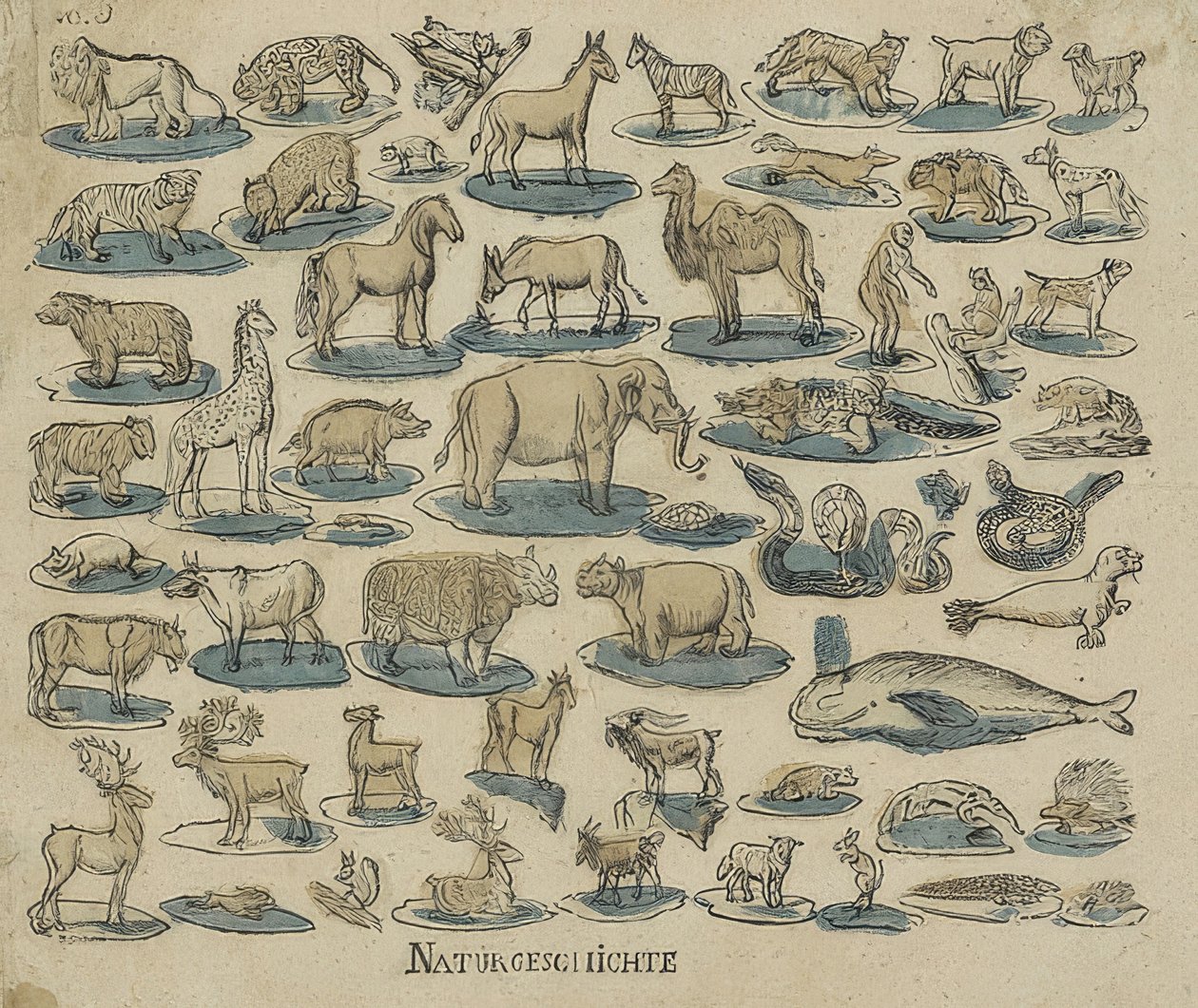 Animais. 1750-1800 de Unknown