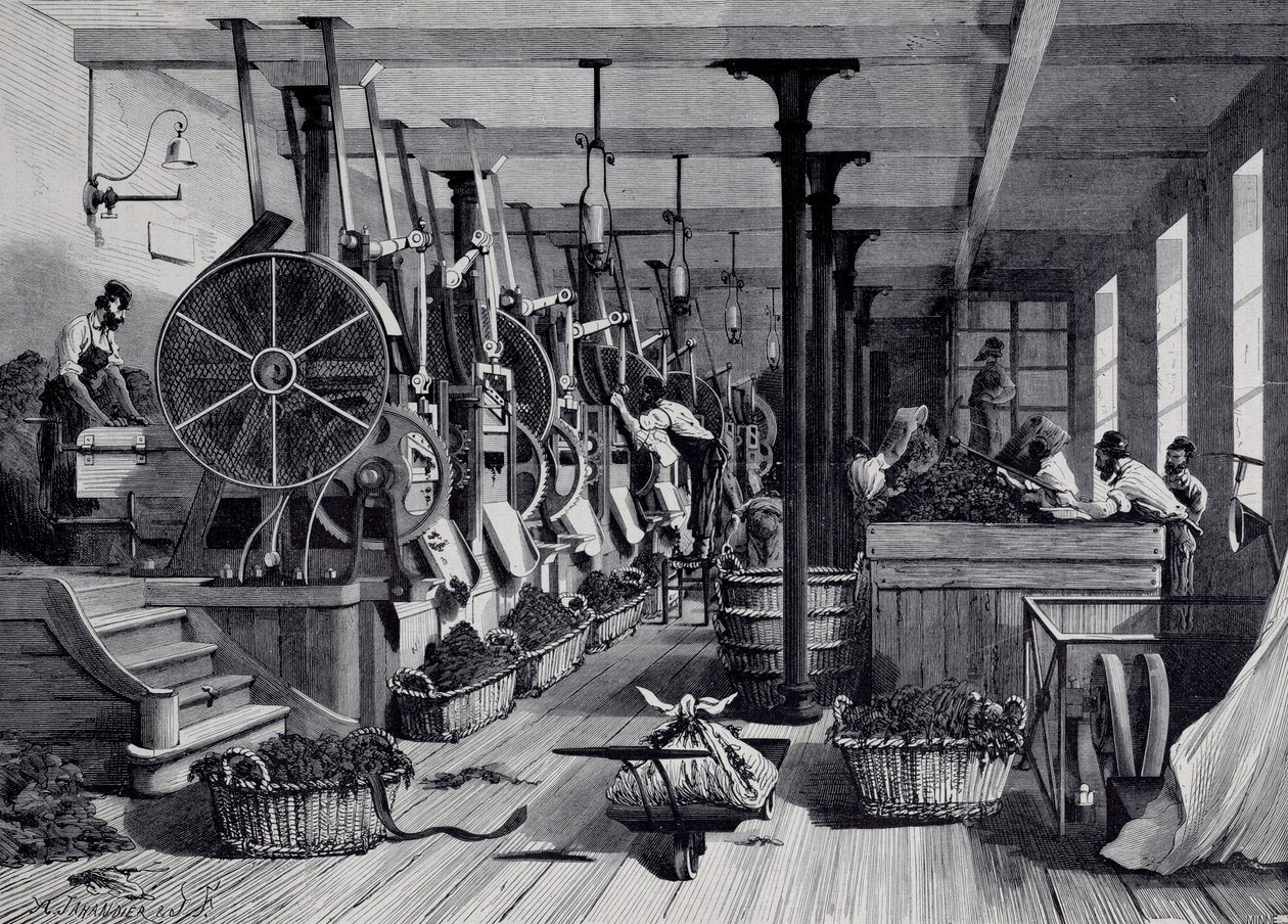 Fábrica de tabaco, lavandaria e rapagem de tabaco. Gravação por volta de 1867. Paris, Musee Carnavalet de Unknown artist