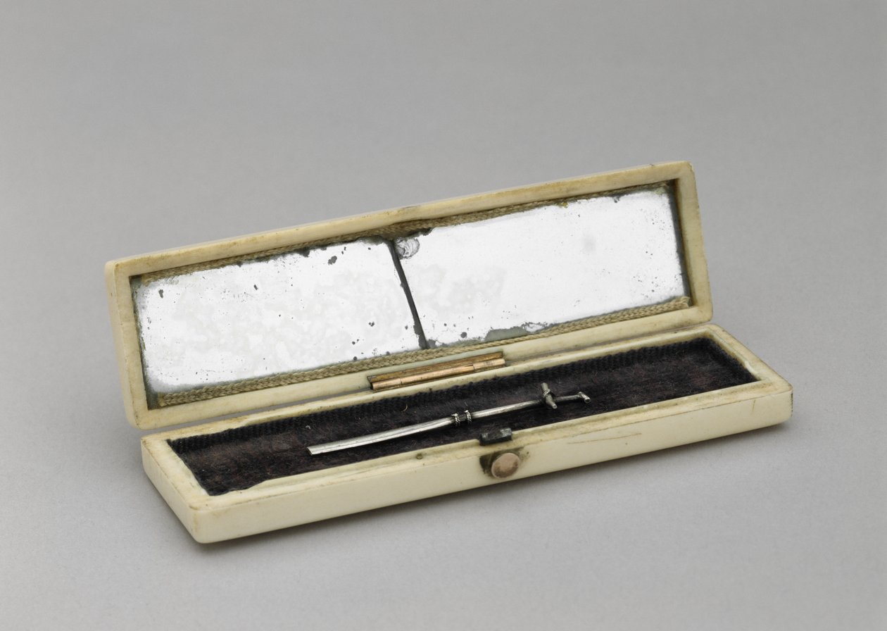 Estojo para palito de dente, c. 1840-1880 (marfim, prata, vidro espelhado, veludo) de Unknown artist