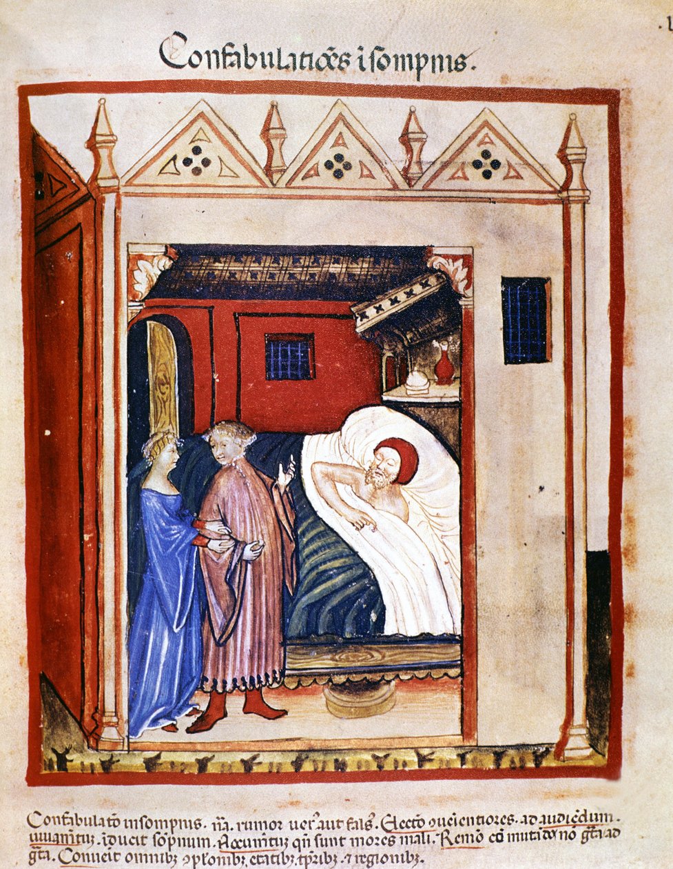 Tratado de medicina "Tacuinum sanitatis" do século XIV: pessoas falando durante o sono. Século XIV. B.N., Viena. de Unknown artist