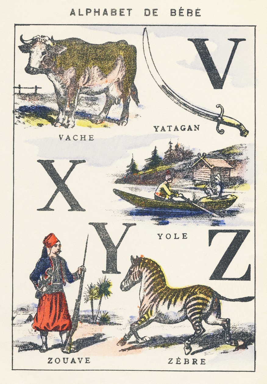 VXYZ: vaca, yole, zouave, zebra de Unknown artist
