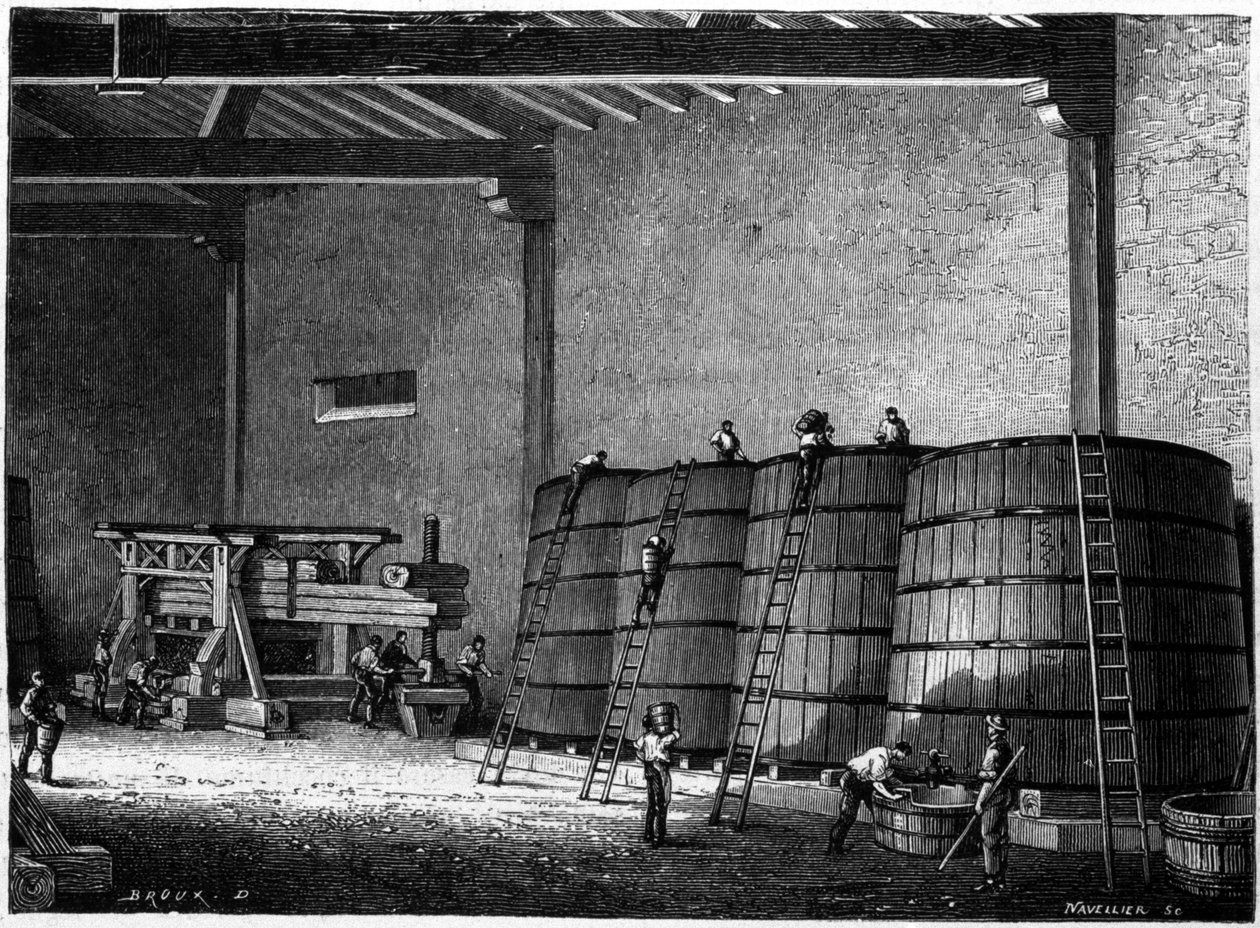 Cubas e lagares utilizados nas adegas de Borgonha Clos Vougeot Engraving do século XIX de Unknown artist