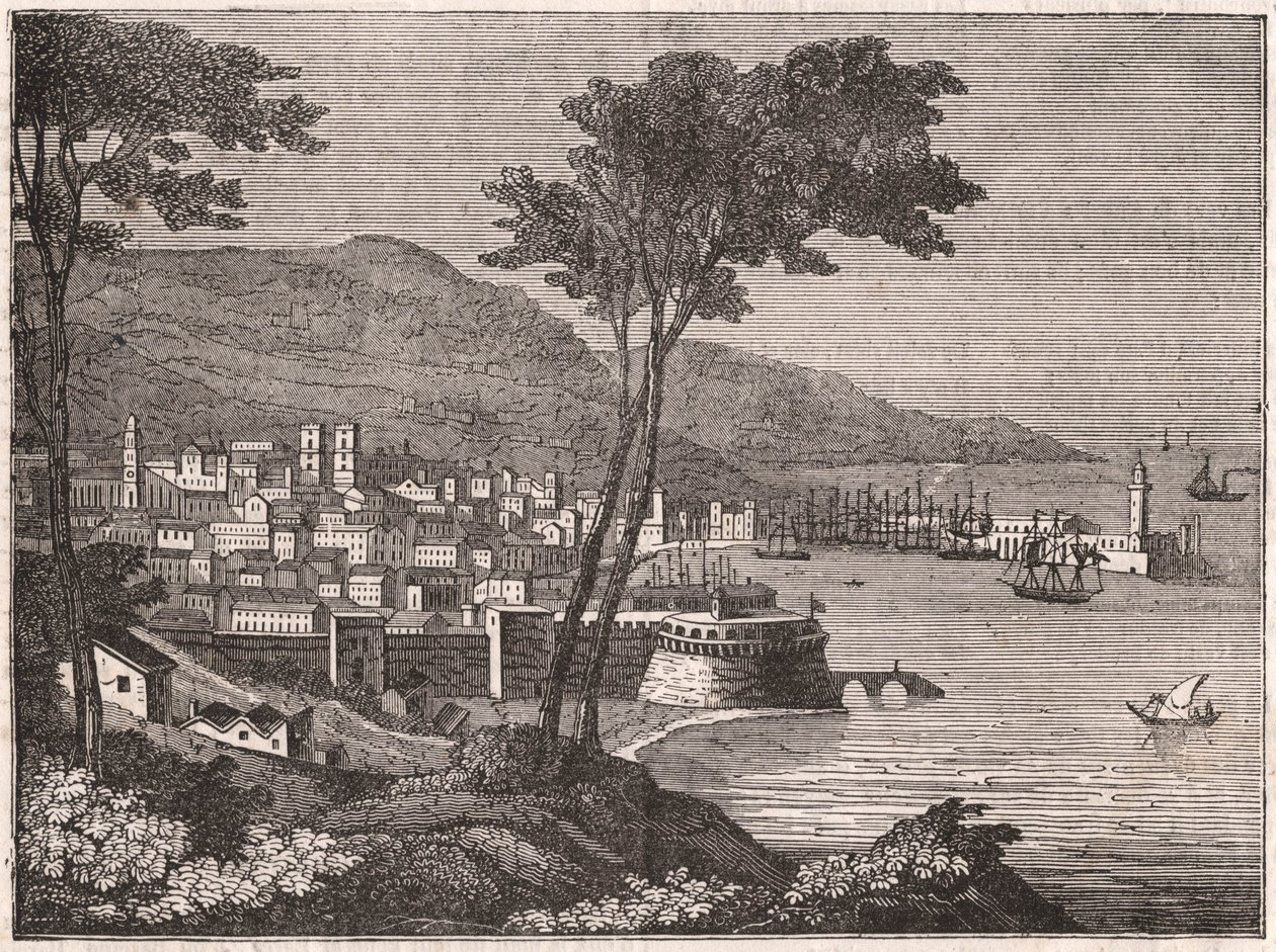 Vista, de, um, arborizado, colina, cidade, de, barcelona, catalonia, espanha de Unknown