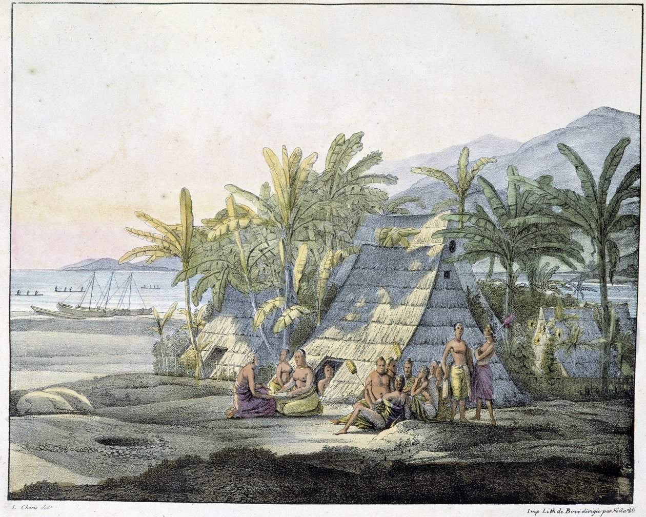 Vista nas Ilhas Sandwich - em "Vistas e Paisagens das Regiões Equinoxiais, Recolhidas numa viagem à volta do mundo", sd. início do século XIX de Unknown artist
