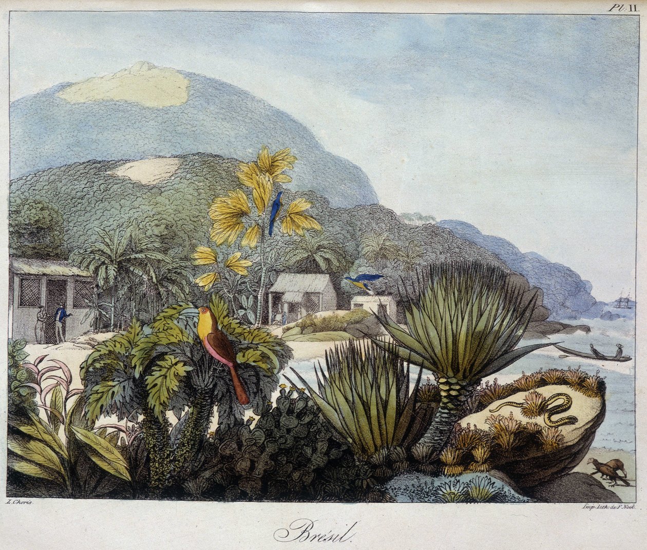 Vista do Brasil em "Vistas e Paisagens das Regiões Equinófilas, Coletadas em uma Viagem ao redor do Mundo", sd. Século XIX de Unknown artist