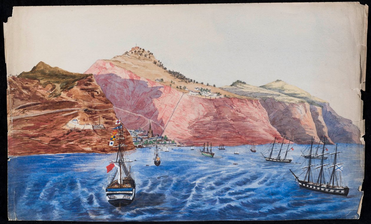 Vista de Jamestown, Santa Helena, c.1850 (wc no papel) de Unknown