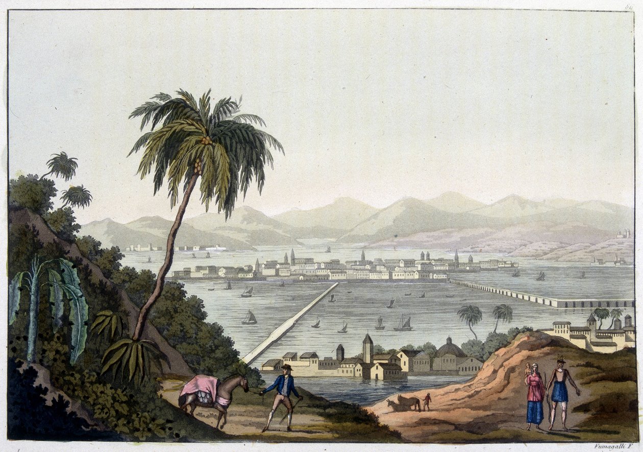 Vista da Cidade do México, México. Em "Le costume ancien et moderne". de Unknown artist