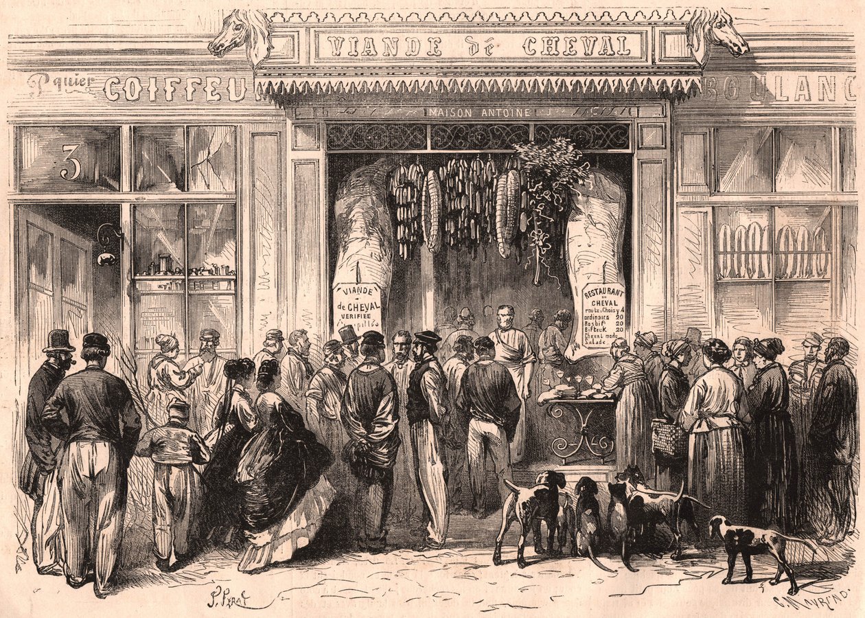 Vista da frente de um açougueiro de carne de cavalo em Paris, França de Unknown