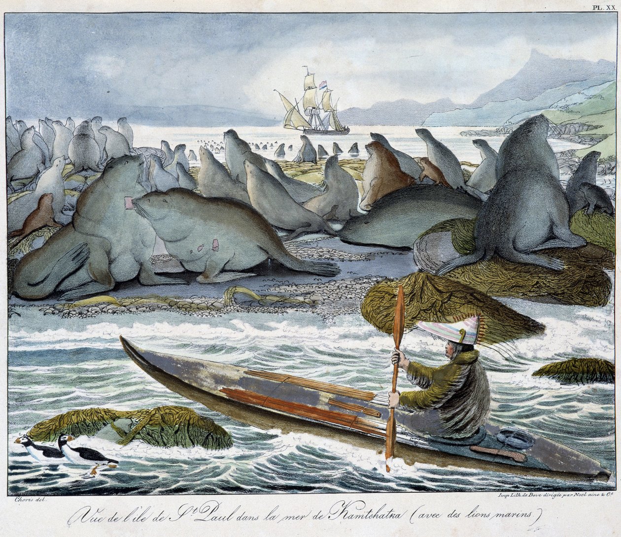 Vista da ilha de S. Paulo no mar de Kamchatka com leões marinhos. de Unknown artist
