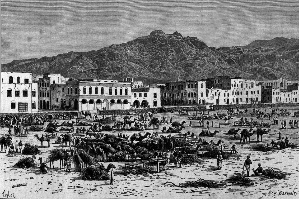 Vista da marcha de Adem na Abissínia. Gravura por volta de 1880 de Unknown artist