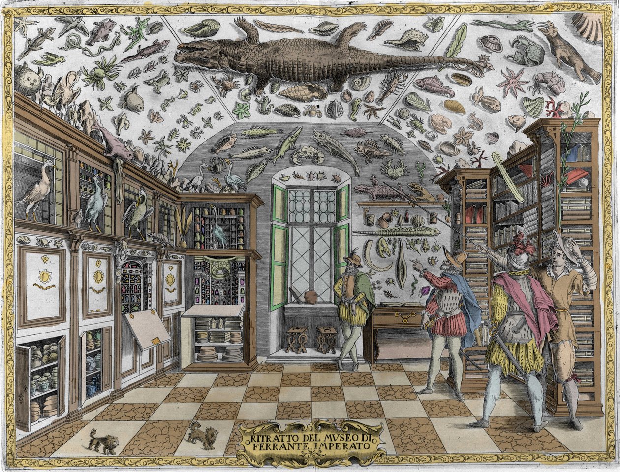 Vista do museu (gabinete) de curiosidades (museu enciclopédico) do farmacêutico Ferrante Imperato (1550 - 1631). Gravura a partir de 1678. Museu do boticário napolitano Ferrante Imperato. de Unknown artist