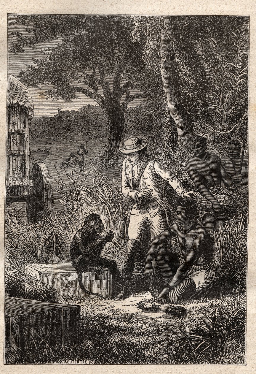 Voyage dans la Caffrerie (África do Sul) (1781) por François Levaillant (Le Vaillant) (1753-1824): Levaillant e seu macaco degustador Maitre Kees, que prova os frutos e raízes para verificar se são comestíveis - ilustração tirada de "Les Gra de Unknown artist