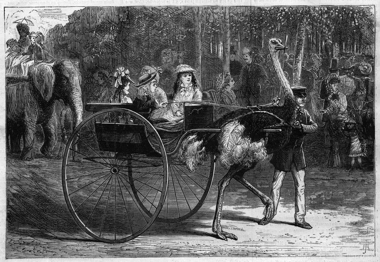 Caminhe nas costas de um elefante e crianças em uma cariola arrastada por Austrias. Jardim de Aclimatação do Bois de Boulogne em Paris de Unknown artist