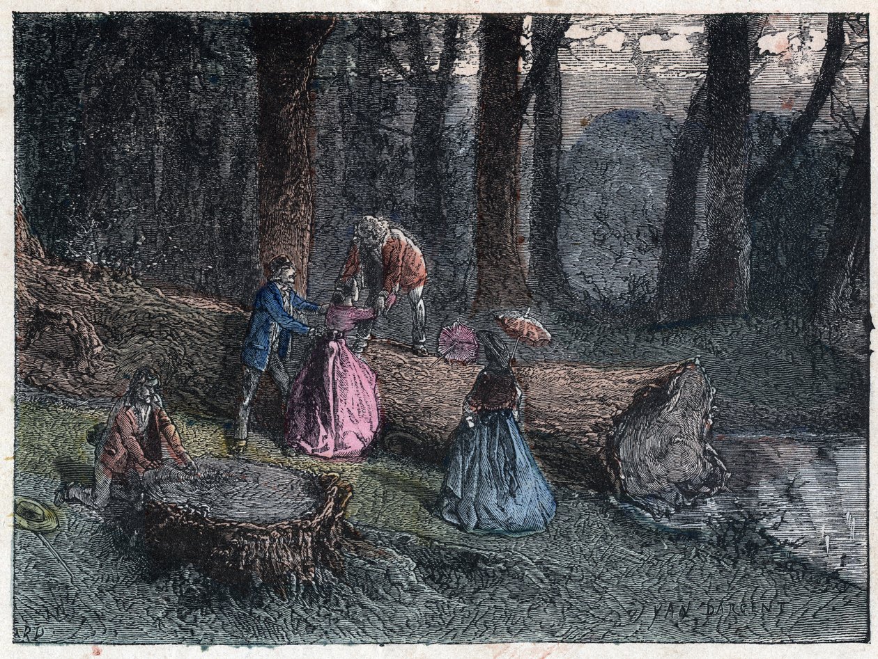 Os caminhantes tentam calcular a idade de um carvalho morto, estudando a variedade da árvore. Gravura no final do século XIX. de Unknown artist