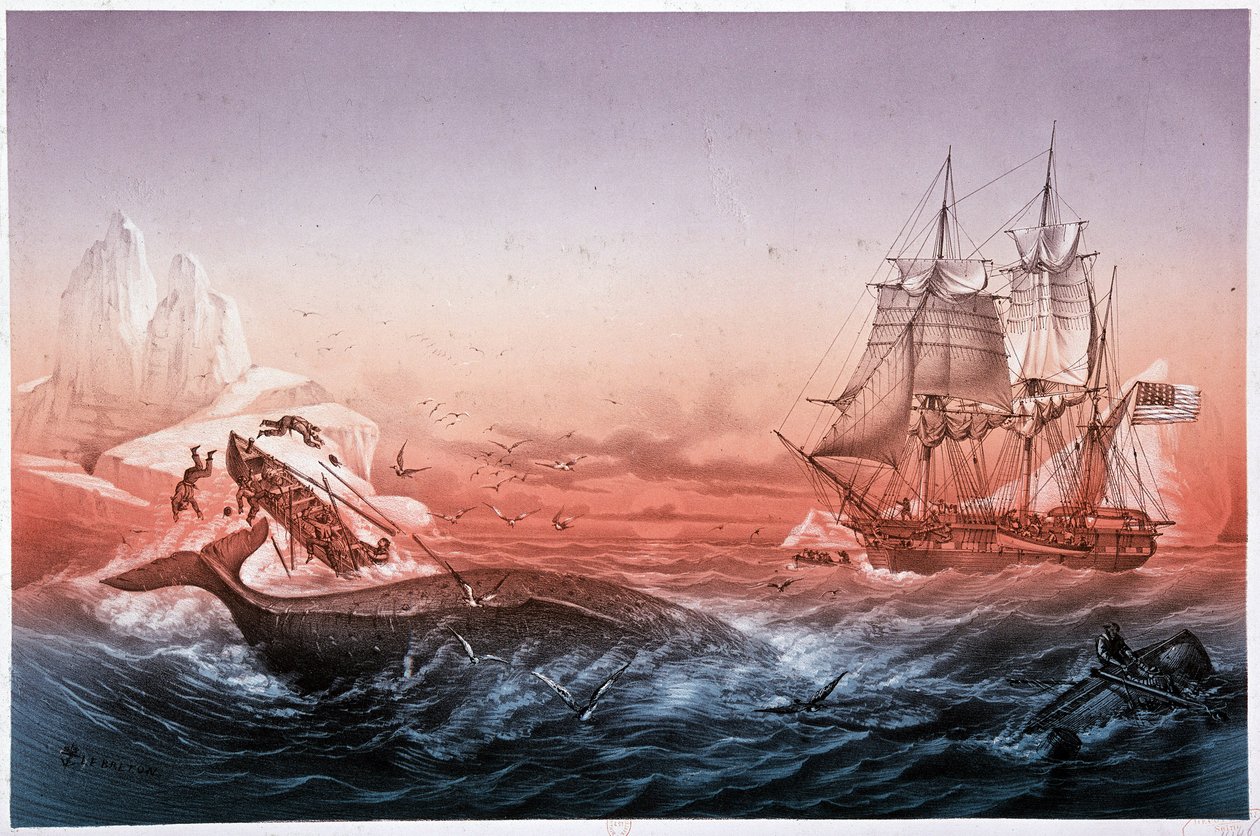 Navio baleeiro falhou no salvamento dos seus barcos de baleia de Unknown artist