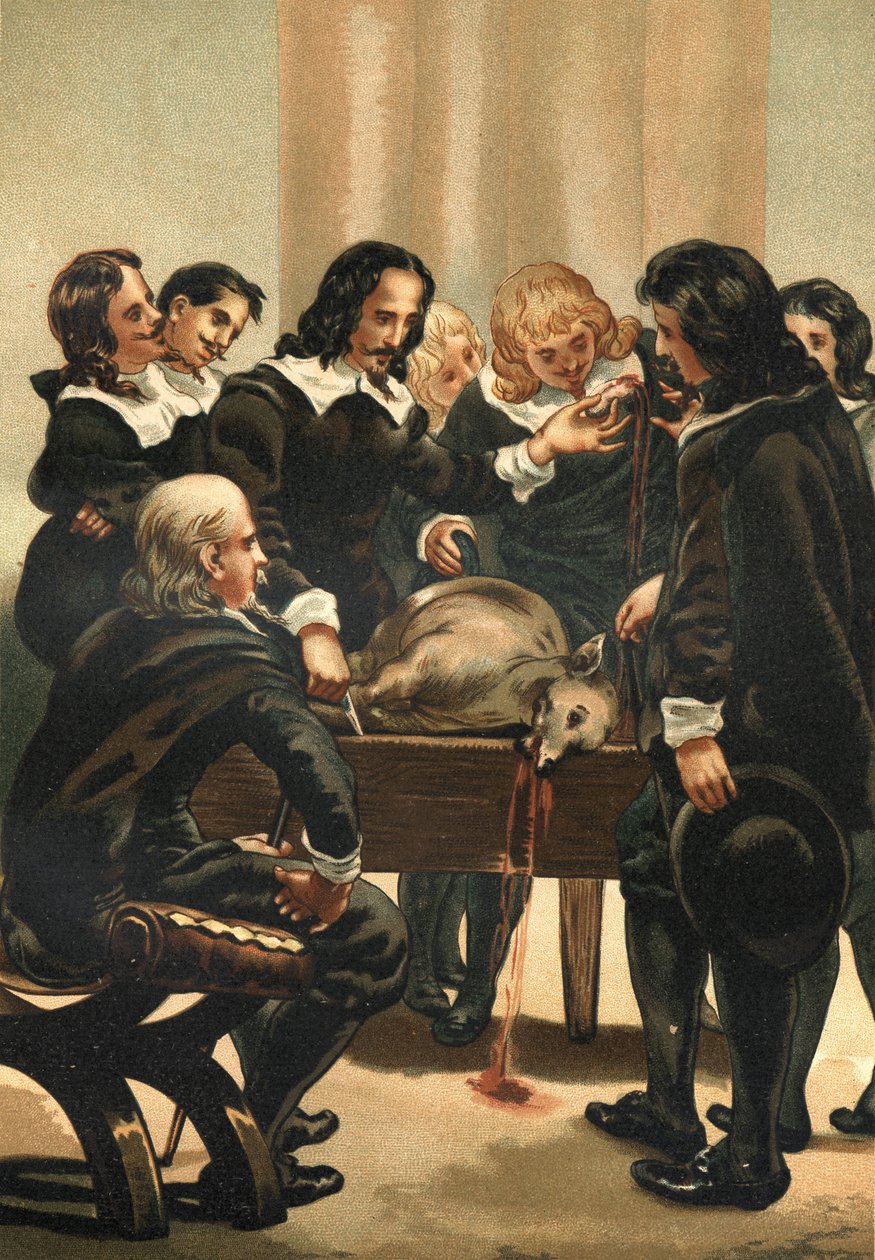 William Harvey (1578-1658) Médico inglês demonstrando circulação sanguínea em 1628 de Unknown artist