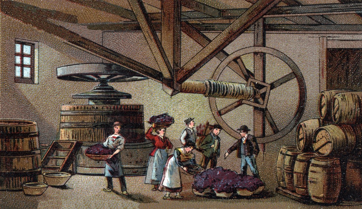 Produção de vinho: lagar do hospício de Beaune (fecha vaigeot). Cromolitografia do final do século XIX de Unknown artist