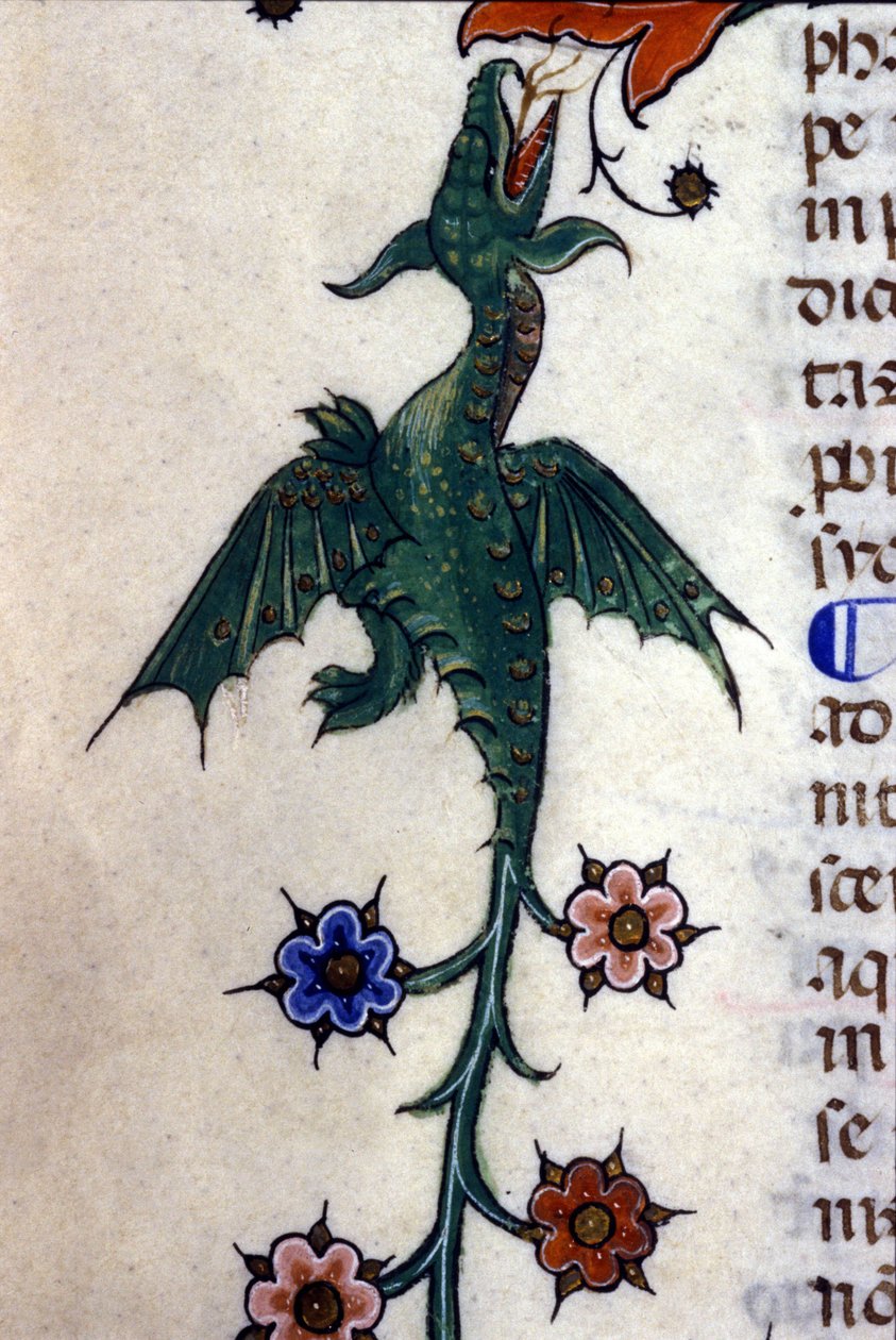 Dragão alado, Caspic, sobre um manuscrito do século XIV de Milão, Biblioteca Nazionale Braidense. de Unknown artist