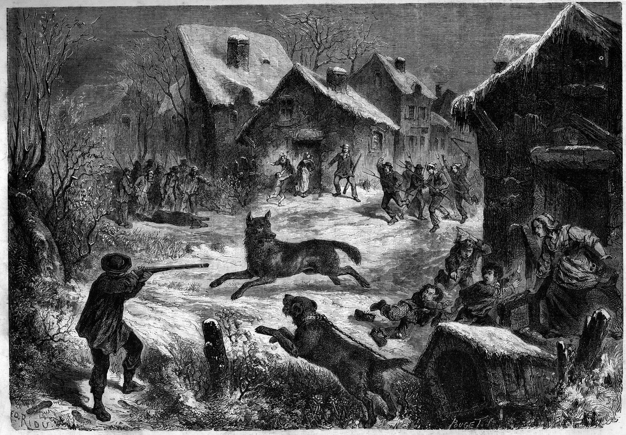 A caça ao lobo na aldeia de Saliers, Bouches du Rhone (13), 31 de Dezembro de 1860. Gravura em "Le Monde Illustré" n¡196 de 12 de Janeiro de 1861. de Unknown artist